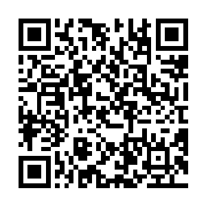 楚国的大学士们已经完全不在乎会不会有妖王蛮王偷袭二维码生成