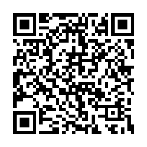 楚墨寒实在是禁不住疲惫和困意沉沉的睡了过去二维码生成