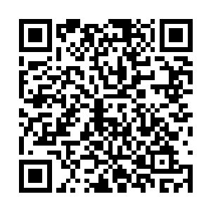 楚墨寒看着一直看着盒子里的山之光傻笑的沈婉瑜二维码生成