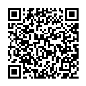 楚墨寒知道沈婉瑜这一次的对手是北暮国的选手二维码生成