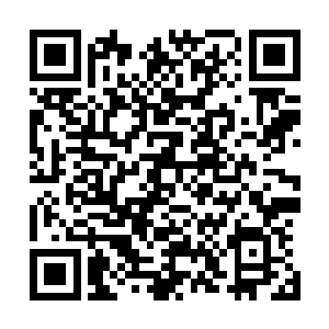 楚子厚也很赞成沈喜臻远离京城到山清水秀的地方去散散心二维码生成