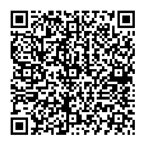 楚安天足足花了上万的时间才发现神秘人去往这个方位见的一个人居然是一个名不见经传的土地二维码生成