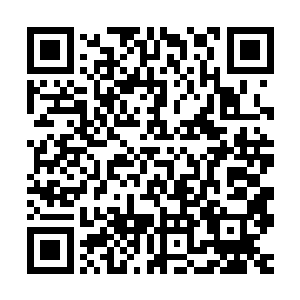 楚家家主却依然记住了定王低沉却轻易能让心生臣服的独特嗓音二维码生成