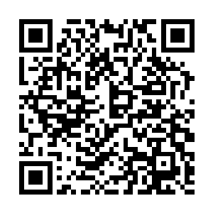 楚家家主楚绍英刚刚送走了一波前来搜查的大楚士兵二维码生成