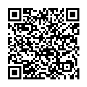 楚家家主被两个侍卫好不顾及的拖着往太守府的地牢而去二维码生成
