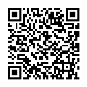 楚当雄楚行空林飞虎王日昆这些化气境的高手们二维码生成