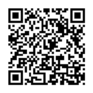 楚征看到魏婷竟然用这种方式躲开了他们的撞击二维码生成