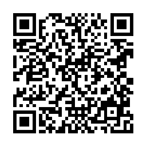 楚怜心其实也不知道李毅给自己的是个什么东西二维码生成
