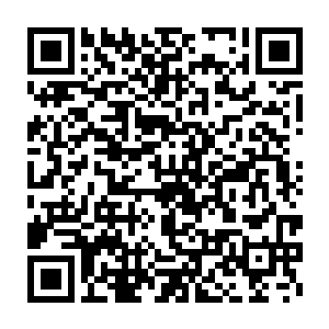 楚旬不顾自身安危的疯狂进攻虽然给塔尔塔罗斯造成了一定的压力二维码生成
