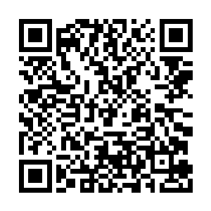 楚旬也听到了那剧烈响起的警报声和机械合成音二维码生成
