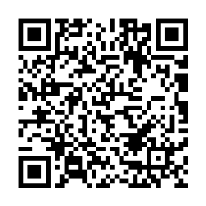 楚旬也将自己的绝大多数的注意力都放在了铁血异形的身上二维码生成