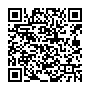 楚旬也感觉到那股可怕的力量再度从虎魄刀上传来二维码生成
