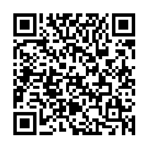 楚旬也迫不及待地观察起了房间内摆放的那些装备道具二维码生成