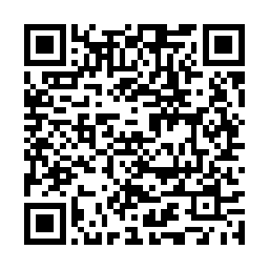 楚旬从未想过楚狂人竟然会搞这种坑爹的实战教学二维码生成