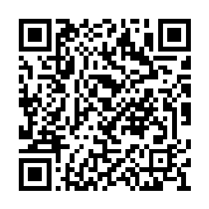 楚旬似乎也是被塔尔塔罗斯刚刚那番话给刺激到二维码生成
