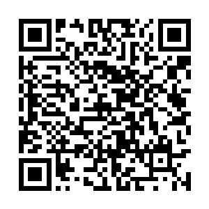 楚旬体表那由鲜血凝聚而成的人形也终于无法维持二维码生成
