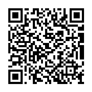 楚旬几乎把所有有关于虫族的资料都给记了下来二维码生成