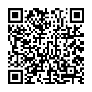 楚旬双爪如同利刃一般直接把七八只变异蟋蟀撕成了碎片二维码生成