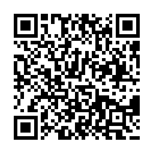 楚旬基本上每过5秒钟左右的时间便能听到一声系统提示二维码生成