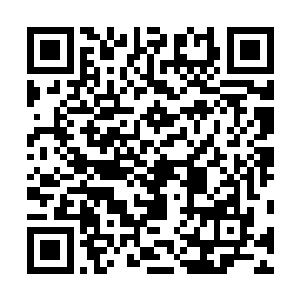楚旬手中的虎魄刀也狠狠劈开了辟寒大王身上的厚重铠甲二维码生成