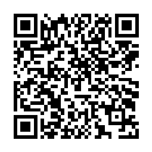 楚旬才知道盘古之灵所说的痛苦到底有多么可怕二维码生成
