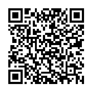 楚旬的利爪和拳头也终于彻底击穿了圣甲虫人的双臂二维码生成