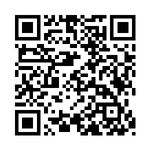楚旬的右掌也是被赫拉克勒斯一拳轰成了肉酱二维码生成