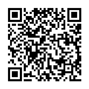 楚旬的妖兽异形军团虽然在力量属性上并不克制黑甲阴兵二维码生成