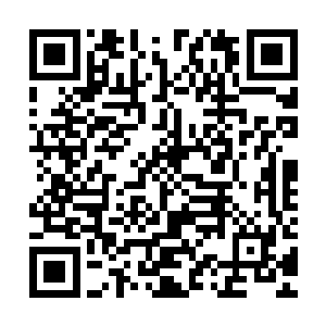楚旬的异形长尾也跟那赫拉迪姆之杖一起没入到了那世界之石中二维码生成