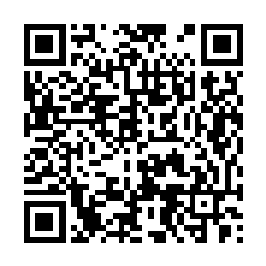 楚旬的血针虽然无法击破死亡骑士所化尸奴的防御二维码生成