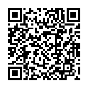 楚旬的身影也是出现在了一片布满了碎石和大型流星二维码生成