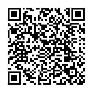 楚旬神国内身为他信仰之基的菩提树也仿佛是得到了养料的灌溉一样二维码生成