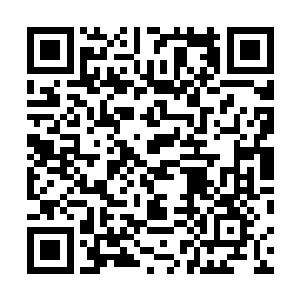 楚旬神国内那被系统改造了的巨型菩提树也忽然大放光明二维码生成