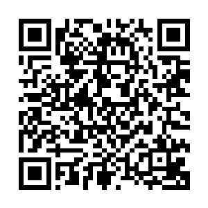 楚旬竟然将厚土珠和玄水珠的力量用在了这两头妖兽异形身上二维码生成