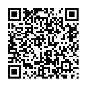 楚旬等人也齐齐被这可怕的能量轰击给逼退了出去二维码生成