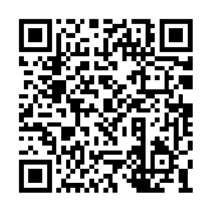 楚旬等人所散发的种种强大气息也让他深感好奇二维码生成