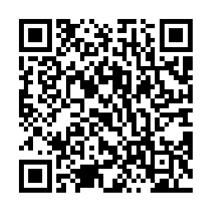 楚旬等人是因为得了生存游戏第一名才能久居天空之城二维码生成