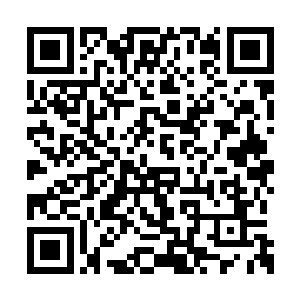 楚旬等人望向骨皇的眼神也变得有些怪异了起来二维码生成