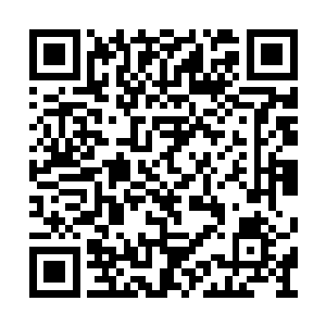 楚旬等人的脸上都纷纷浮现出了难以置信的神色二维码生成
