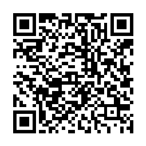 楚旬等人的表现一定能够给他们带来更多的期待和惊喜二维码生成