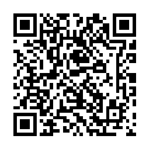 楚旬等人看到堕龙为了他们不被穆卡迪奥约束而选择自爆二维码生成