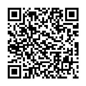 楚旬终于将几大主要传承的一些特点和内容全部看完二维码生成