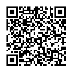 楚旬终究还是低估了老君和老君麾下童子在炼丹方面的造诣二维码生成