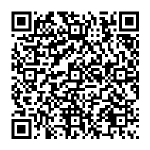 楚旬那原本因为极致的痛苦而渐渐失神的眼神也重新一点一点的变得坚毅而决然了起来二维码生成