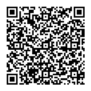 楚旬那护在身前的双臂也是直接被那沉重而坚硬的黄金战车连着外骨骼装甲以及血肉一同砸碎二维码生成
