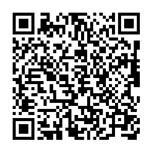 楚旬顿时感觉自己的虎魄刀就像是砍在了一个坚不可摧的巨盾上一样二维码生成
