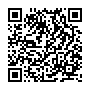 楚晨又一次感受到了那股冥冥中存在的神秘力量二维码生成