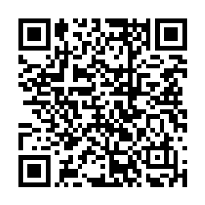 楚晨将目光放在一旁的数百名惨叫考核的少年身上二维码生成