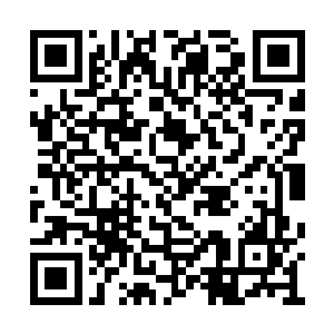 楚暮一边动用自己的体魄之力和震地劲出拳战斗二维码生成