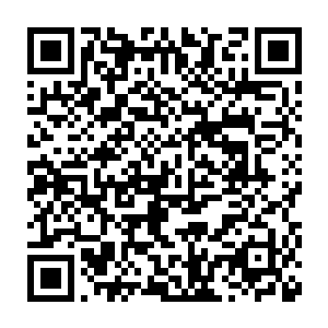 楚暮不得不全力施展真武八步与金鹏破空身法和踏叶凌波身法互相配合二维码生成